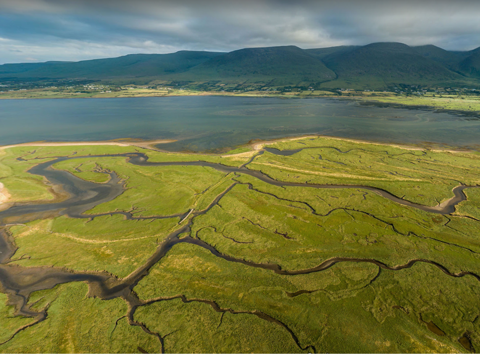 Derrymore Saltmarsh Co Kerry